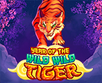 Year Of The Wild Wild Tiger